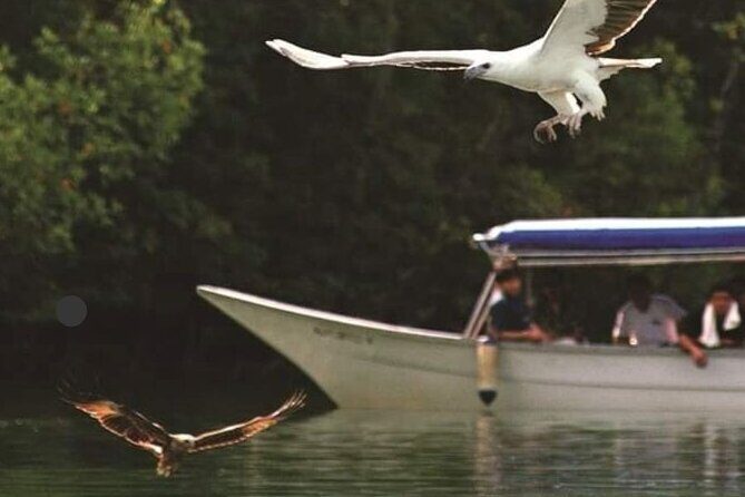 Langkawi Tour B - Land Tour & Tanjung Rhu Mangrove Tour - What’s Included and What’s Not