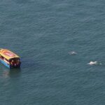 Lantau Group Tour: Dolphin Watching, Fishing Village & Cable Car - What Do the Reviews Say?