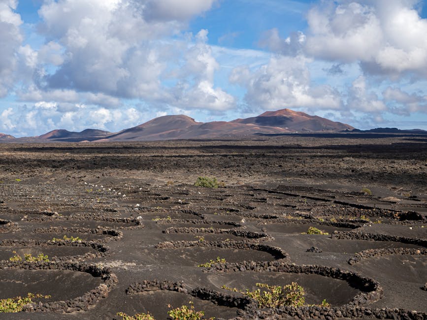 Aerial view of La Geria volcanic vineyards Lanzarote