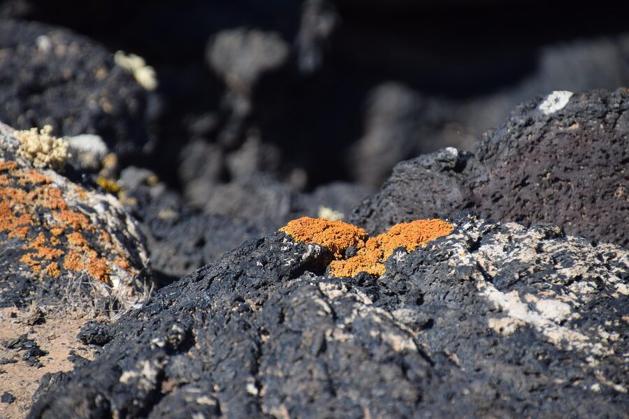 Lava rock close-up Lanzarote