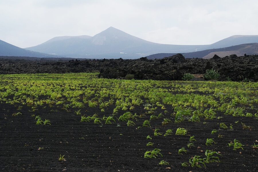 Timanfaya lava flow Lanzarote