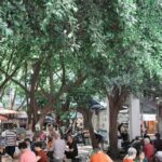 Lazy Citywalk for Tea Lovers | Sip, Stroll & Feel Chengdu - Practical Details and What to Expect