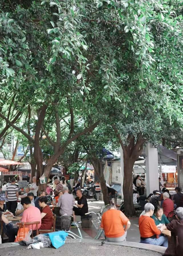 Lazy Citywalk for Tea Lovers | Sip, Stroll & Feel Chengdu - Practical Details and What to Expect