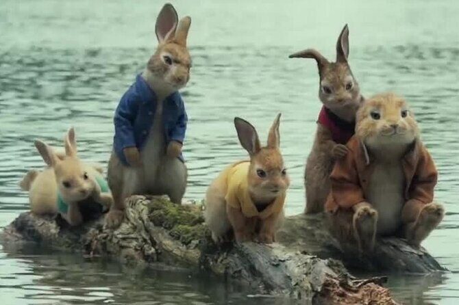 Leam Chabang Port To Pattaya Cultural Exploration Tour - Who Will Love This Tour?