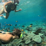 Lembongan Snorkeling at Manta Bay, Crystal Bay and Mangrove - What Travelers Are Saying