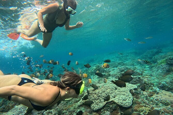 Lembongan Snorkeling at Manta Bay, Crystal Bay and Mangrove - What Travelers Are Saying