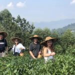 Leshan: Giant Buddha, Tea Village, and Old town Day Trip - Visiting the Traditional Tea Village