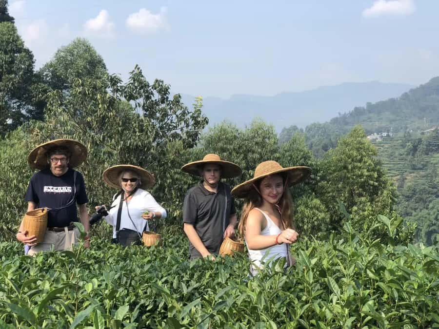 Leshan: Giant Buddha, Tea Village, and Old town Day Trip - Visiting the Traditional Tea Village