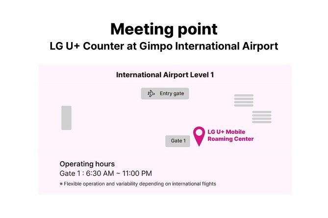 LG U Plus Unlimited Korea SIM Card + Transportation card - The T-Money Card: Seamless Transport