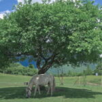 LijiangYulong Snow Mountain Yakniuping Cableway Day Tour - What’s Not Included and Additional Costs