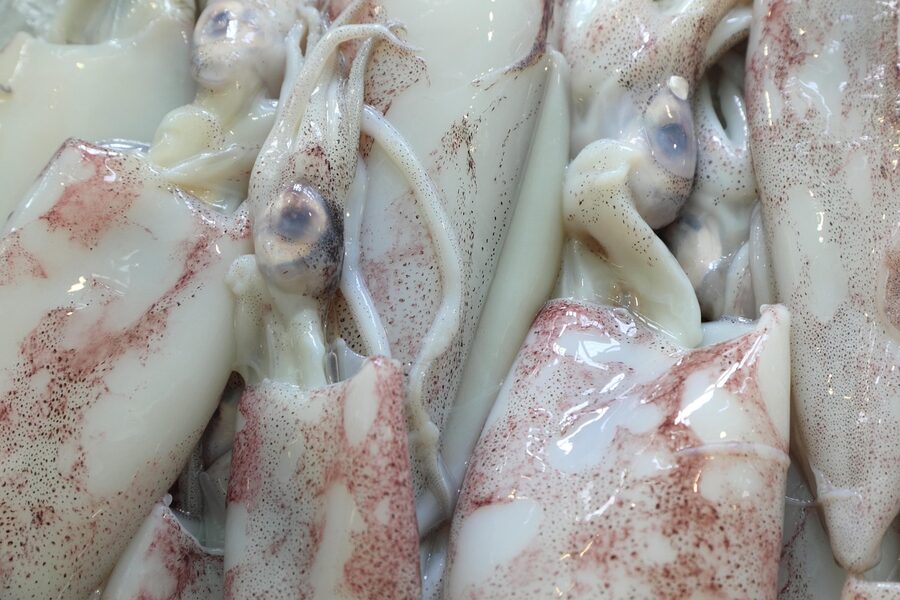 Lisbon fish market stall