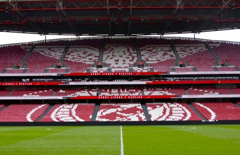 How to Book a Luz Stadium and Benfica Museum Tour