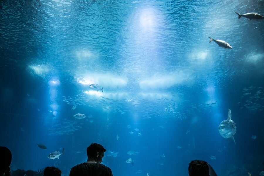 Visitors silhouetted against the central tank at Oceanário de Lisboa