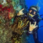 Local diving Bávaro -Double tank - The Drawbacks or Considerations