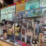 Local Walk Everyday Japan in a Retro Area 20 min from Tokyo - A Few Considerations