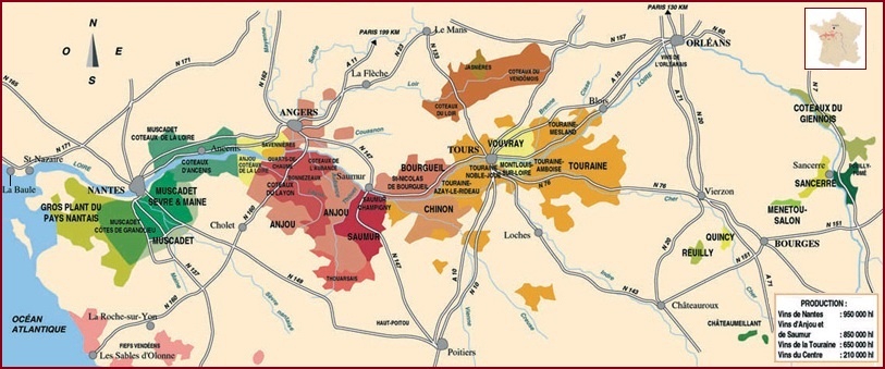 Loire Valley vineyard rows