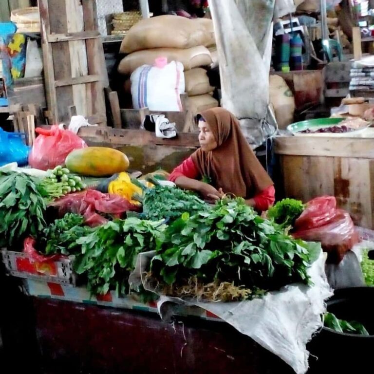 Lombok : City Tour and Atmosphere of Nature Countryside Tour - Transport, Timing, and Overall Experience