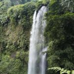 Lombok: Rice Field Terrace & Senaru Waterfalls Guided Tour - Practical Details and What to Expect