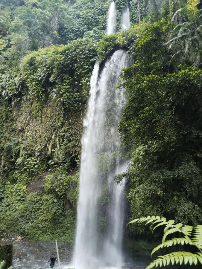 Lombok: Rice Field Terrace & Senaru Waterfalls Guided Tour - Practical Details and What to Expect
