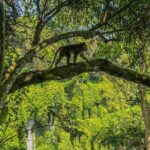 Lombok Sendang Gile and Tiu Kelep Waterfall Adventure Tour - Practical Details & What to Expect