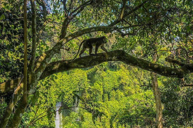 Lombok Sendang Gile and Tiu Kelep Waterfall Adventure Tour - Practical Details & What to Expect