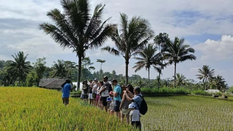 Lombok: Tetebatu Walking Tour with Monkey Forest & Waterfall - The Meal and Return