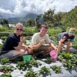 Lombok: Waterfalls, Strawberry Harvest, and Hike Tour - An In-Depth Look at the Lombok Waterfalls, Strawberry & Hike Tour