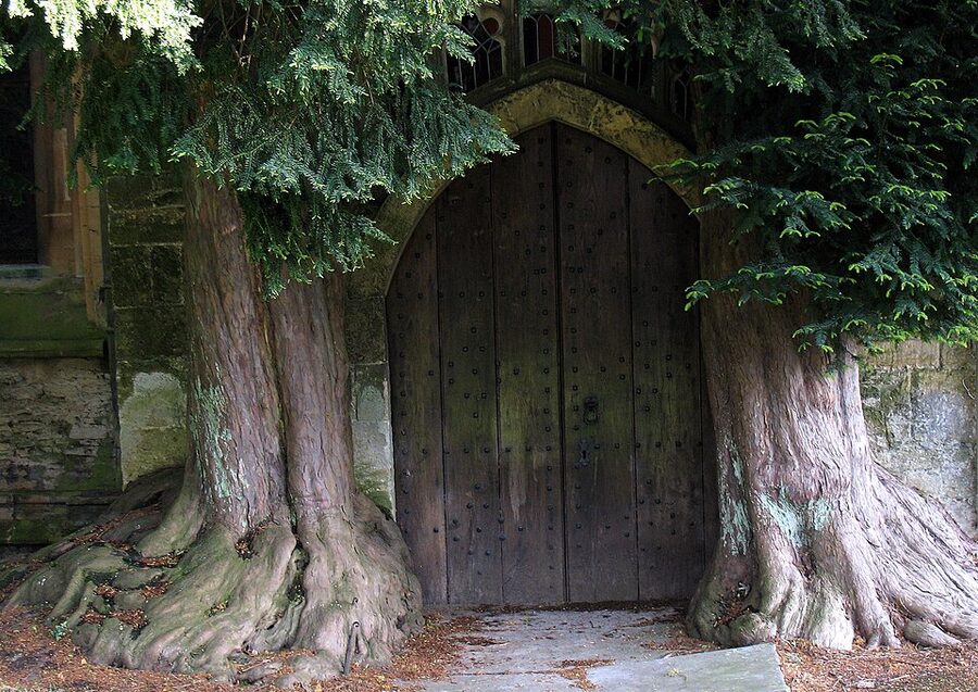 Yew Tree door at St Edwards Church Stow-on-the-Wold