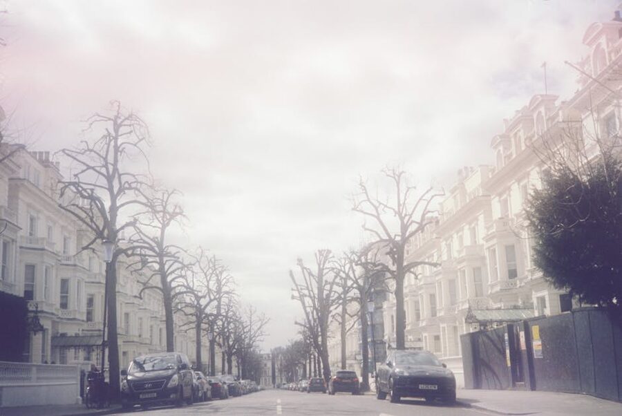 Foggy London street with bare trees