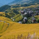 Longji Terraced Fields: Hiking to explore Ethnic Villages - The Itinerary in Detail