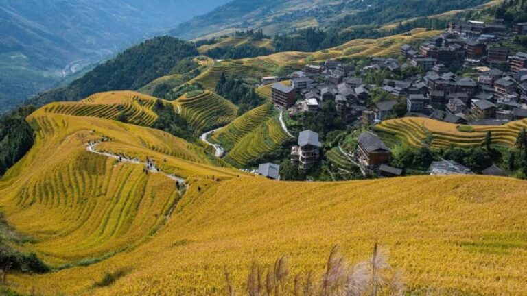 Longji Terraced Fields: Hiking to explore Ethnic Villages - The Itinerary in Detail