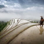 Longsheng Ethnic Minority & Rice Terraces Full-Day Tour - Authentic Experiences from Past Travelers