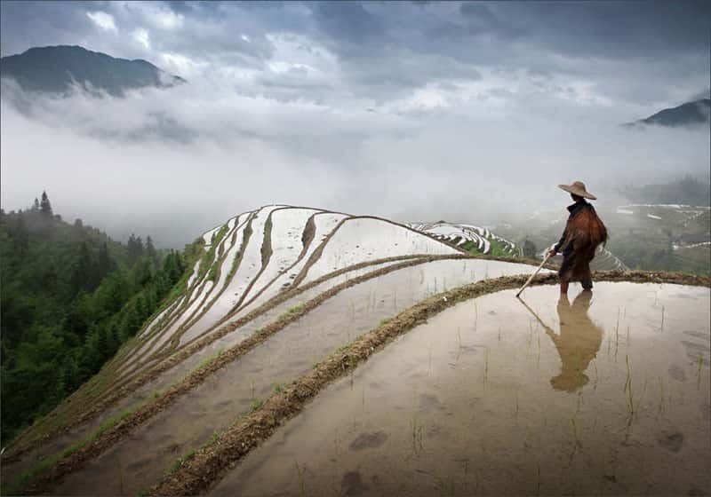 Longsheng Ethnic Minority & Rice Terraces Full-Day Tour - Authentic Experiences from Past Travelers