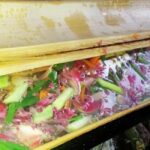 Luang Prabang: Bamboo Forest Cooking-class & Farm Visit - An In-Depth Look at the Tour Experience