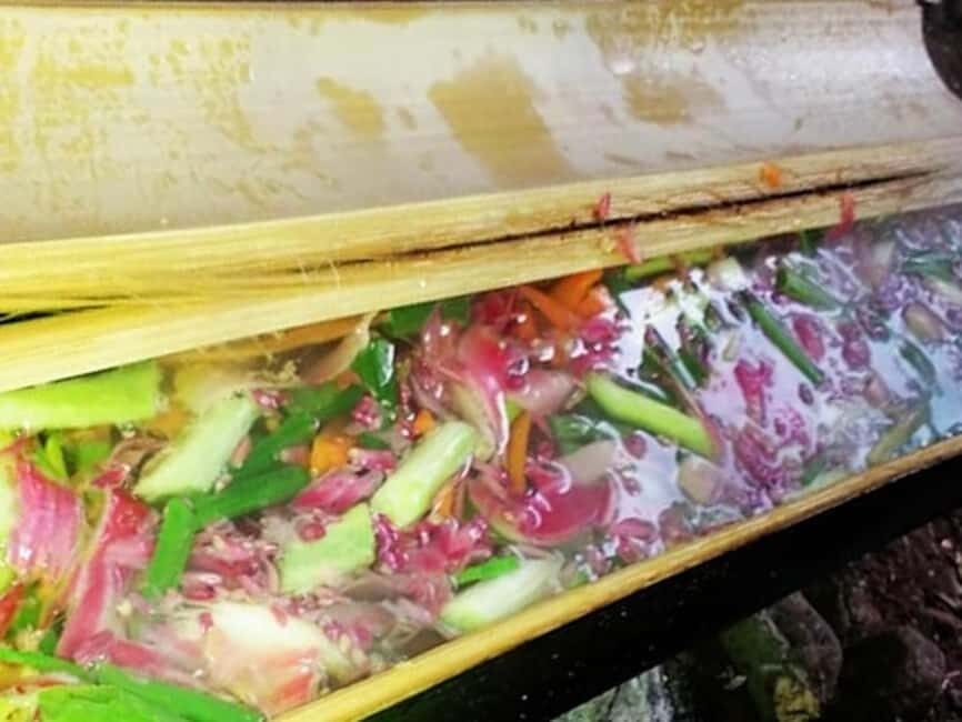 Luang Prabang: Bamboo Forest Cooking-class & Farm Visit - An In-Depth Look at the Tour Experience