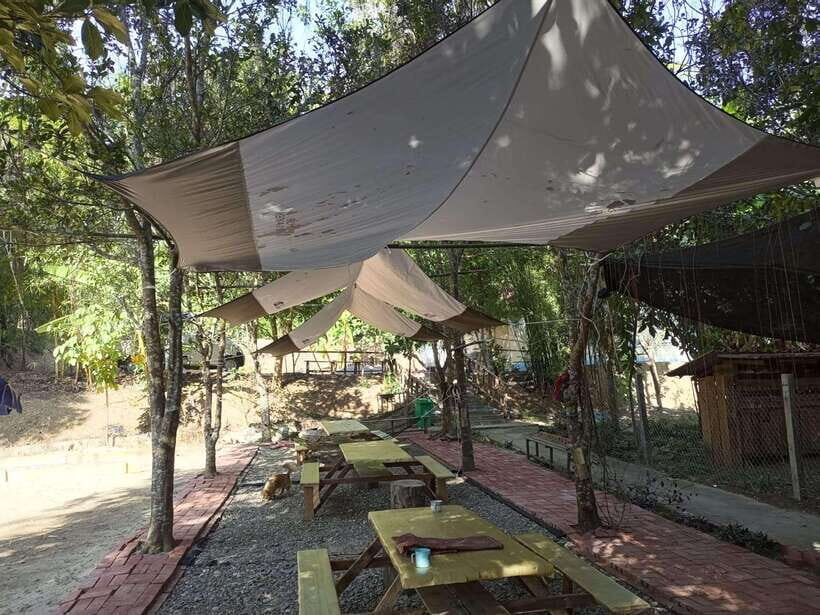 Luang Prabang: Kuang Si Falls, River Tracing Hiking - The Practical Side: What’s Included and What’s Not