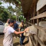 Lumajang: Untouched Nature Exploration - Discovering Lumajang’s Hidden Charm