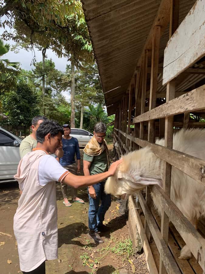 Lumajang: Untouched Nature Exploration - Discovering Lumajang’s Hidden Charm