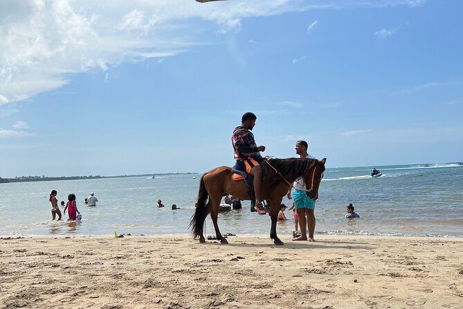 Luquillo Beach and Restaurants Experience Tour - Who Should Book This Tour?