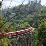 Luxury 7 Days Cultural Triangle Tour in Sri Lanka - Practical Insights and What to Expect