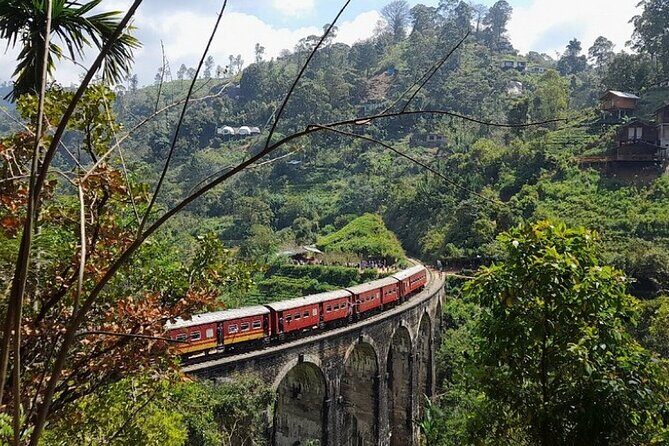 Luxury 7 Days Cultural Triangle Tour in Sri Lanka - Practical Insights and What to Expect