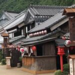Luxury Nikko Gateway;Private Guided tour - Who Should Consider This Tour?