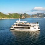 Luxury Scenic Cruise Through Ha Long Bay with Buffet Lunch - Who Should Book This Tour?