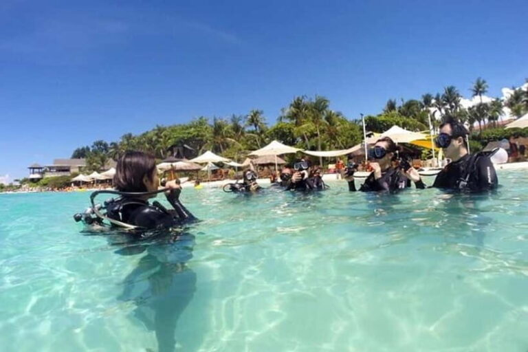 Mactan: PADI Open Water Diver Certification Course - Why You Should Consider This Course