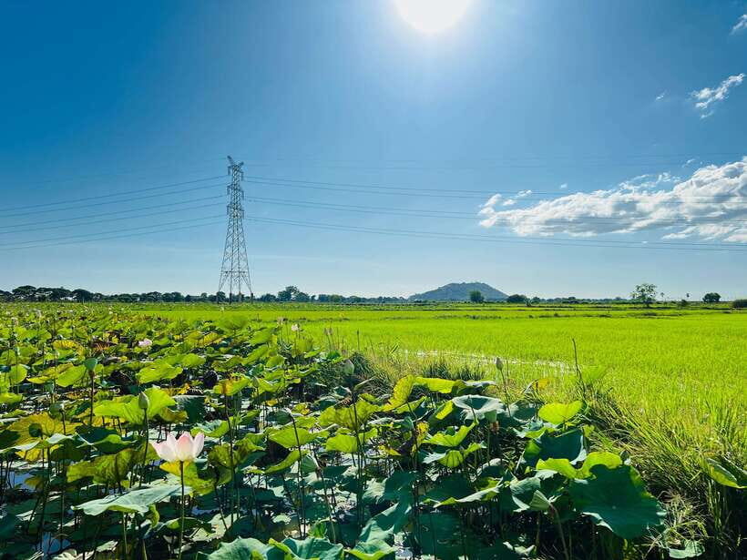 Mad Monkey Siem Reap: Sunset Countryside Cycling Tour - Is This Tour Worth It?