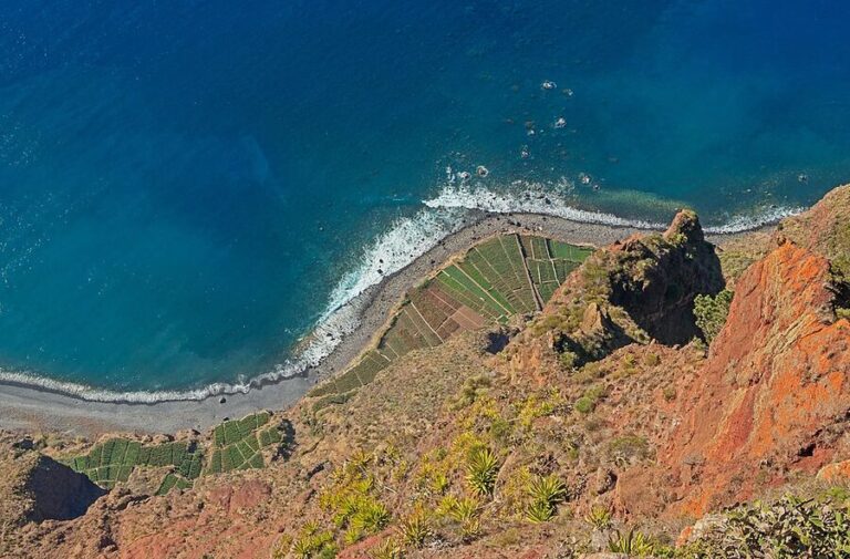 How to Book a Madeira Skywalk and Fanal 4WD Day Tour