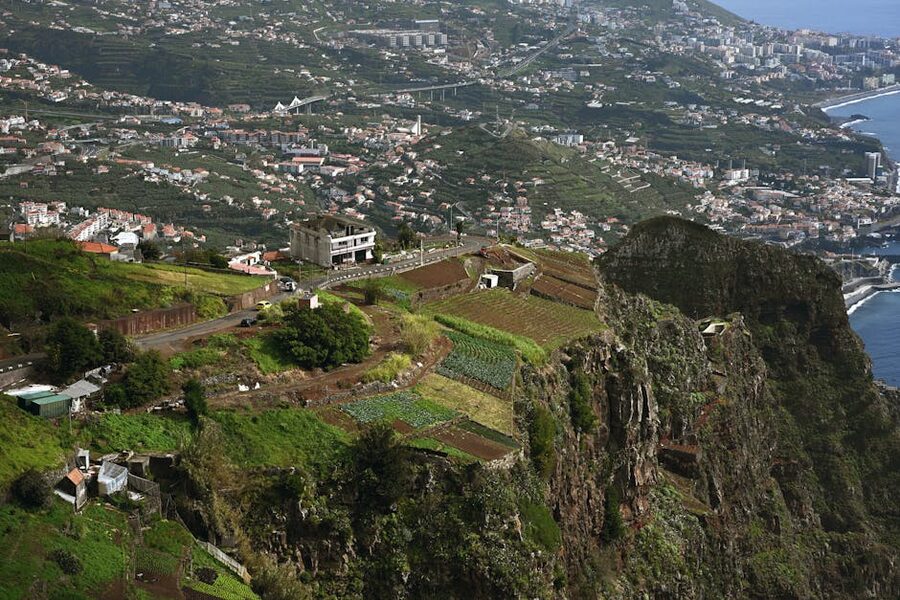 Madeira cliffs and terraced fields