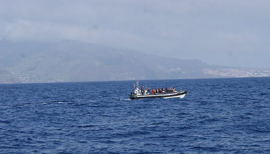 Madeira Atlantic whale and dolphin watching tour catamaran near pilot whales