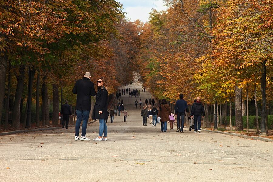 Retiro Park Madrid autumn behind the Prado