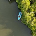 Madu River Boat Cruise & Cinnamon Garden All Inclusive Tour - Cinnamon Garden Visit: Fragrant and Educational